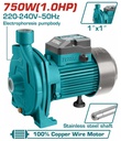 [TWP27506] TOTAL POMPE CENTRIFUGE 750W (1HP) 