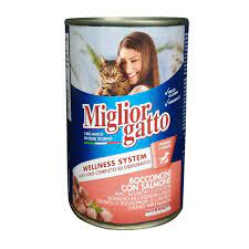 GENERIC PATE CHAT SAUMON 405G 2157 MORANDO 